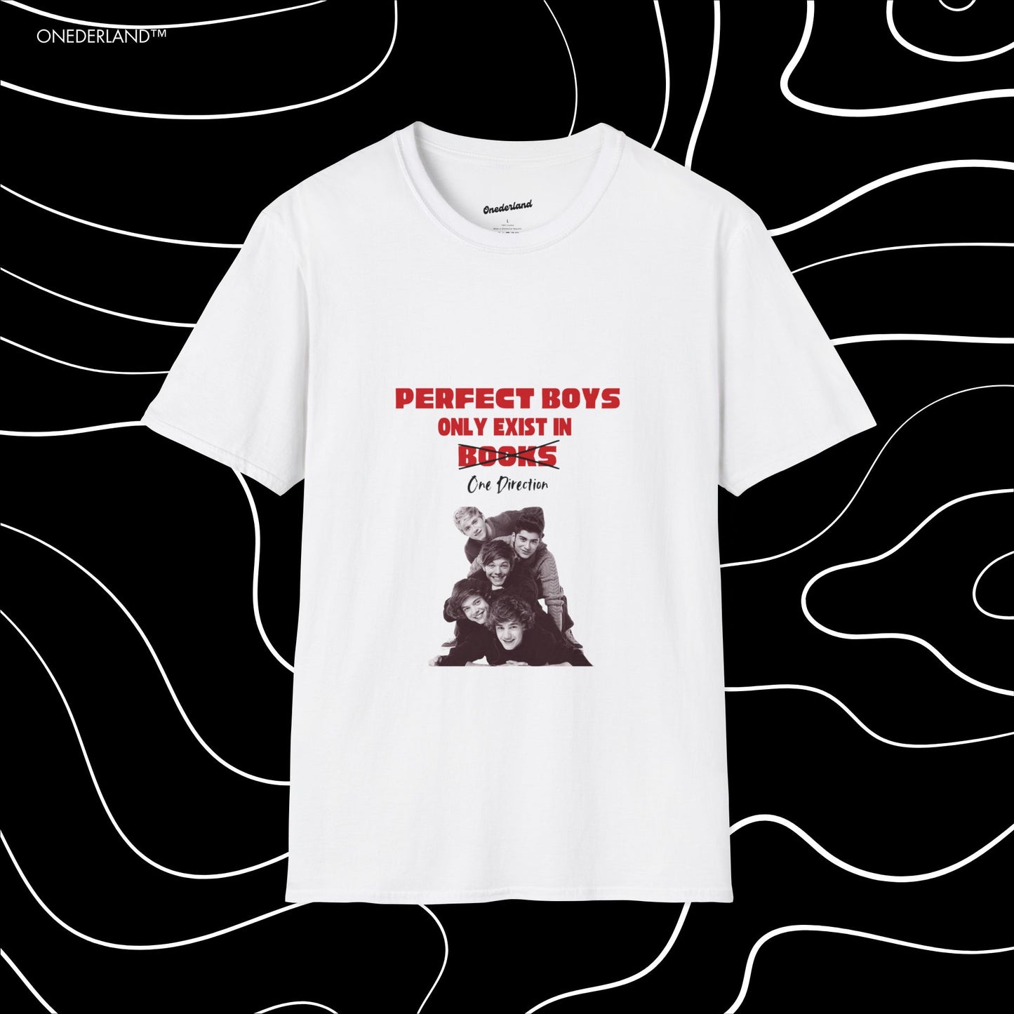 Perfect Boys exist T-Shirt